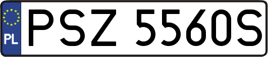PSZ5560S