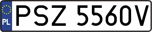 PSZ5560V