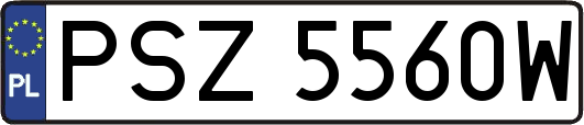 PSZ5560W