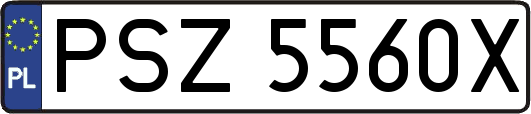 PSZ5560X