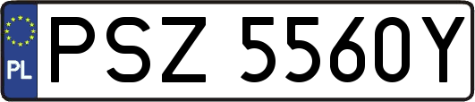 PSZ5560Y