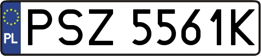 PSZ5561K