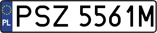 PSZ5561M