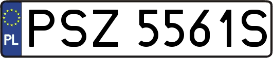 PSZ5561S