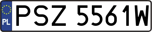 PSZ5561W