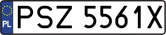PSZ5561X