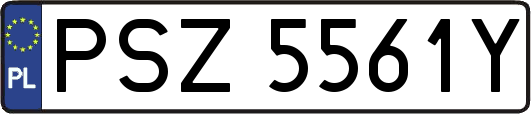 PSZ5561Y