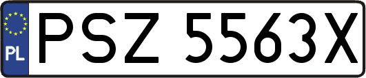 PSZ5563X