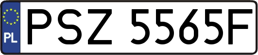 PSZ5565F