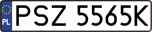 PSZ5565K