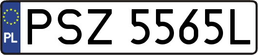 PSZ5565L