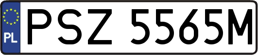 PSZ5565M