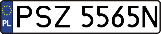 PSZ5565N