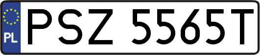 PSZ5565T