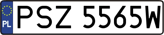 PSZ5565W