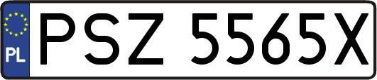 PSZ5565X