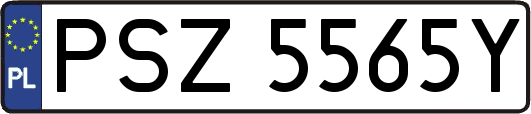 PSZ5565Y