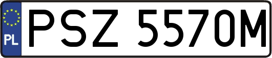 PSZ5570M