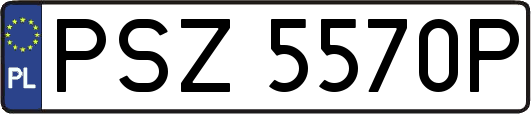PSZ5570P
