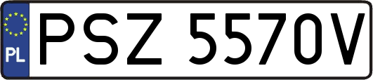 PSZ5570V