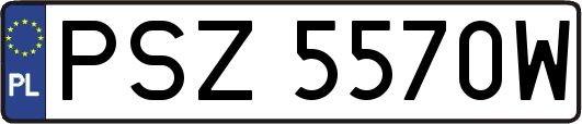 PSZ5570W