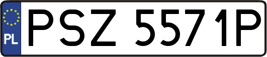 PSZ5571P