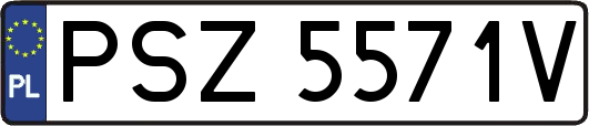 PSZ5571V