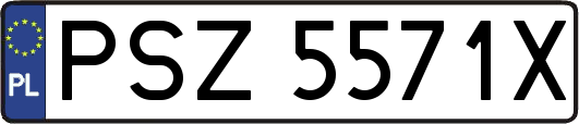 PSZ5571X