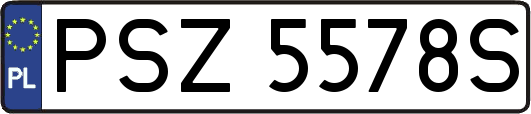 PSZ5578S