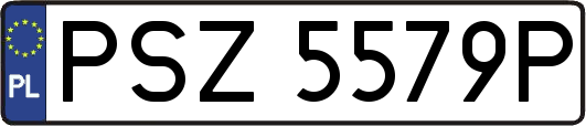 PSZ5579P