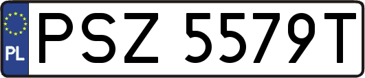 PSZ5579T