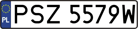 PSZ5579W