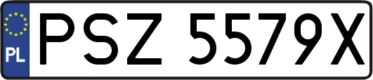 PSZ5579X