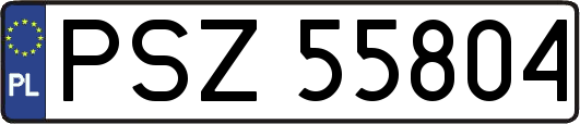 PSZ55804