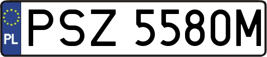 PSZ5580M