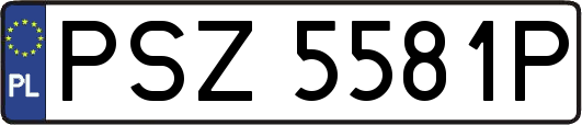 PSZ5581P