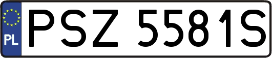 PSZ5581S