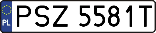 PSZ5581T