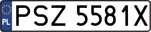 PSZ5581X