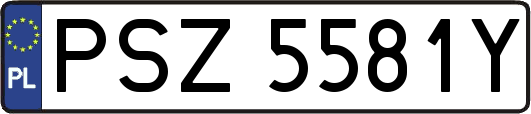 PSZ5581Y