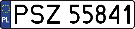 PSZ55841
