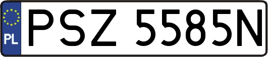 PSZ5585N