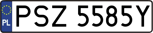 PSZ5585Y