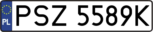 PSZ5589K