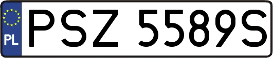 PSZ5589S