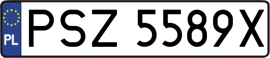 PSZ5589X