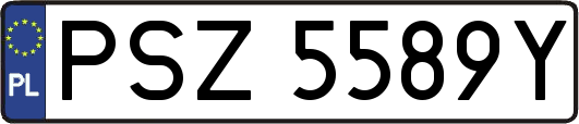 PSZ5589Y