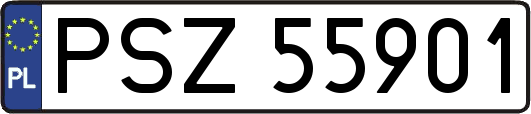 PSZ55901