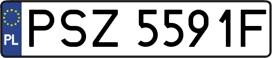 PSZ5591F