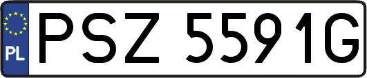 PSZ5591G